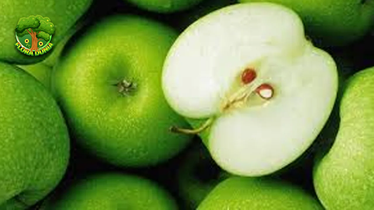 Apel Hijau Bukan Sekadar Buah, Ini 5 Sumber Energi Alami!