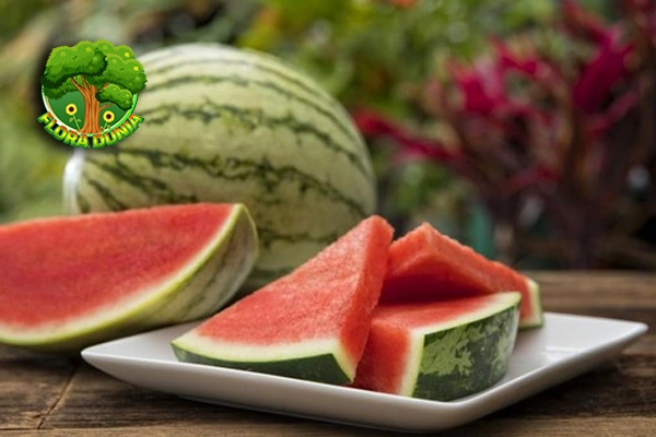 Semangka Buah Super yang Cocok untuk Usia 40thn!