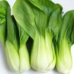 Pakcoy 12 Solusi Praktis untuk Hidup Sehat