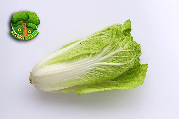 Sawi Putih 1 Sayuran Lezat yang Baik untuk Diet