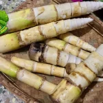 Rebung Kenapa Hidup 1 Favorit di Indonesia?