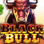 Black Bull Pas Banget Buat 12 Teman Ngopi