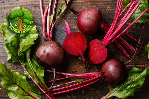 Bit Merah: Teman Terbaik 7 Sistem Pencernaan