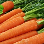 Wortel Sejarah Tanam, Varietas, Resmi 11 Manfaatnya