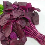 Bayam Merah Enak, Unik 5 Anak Lahap Makan