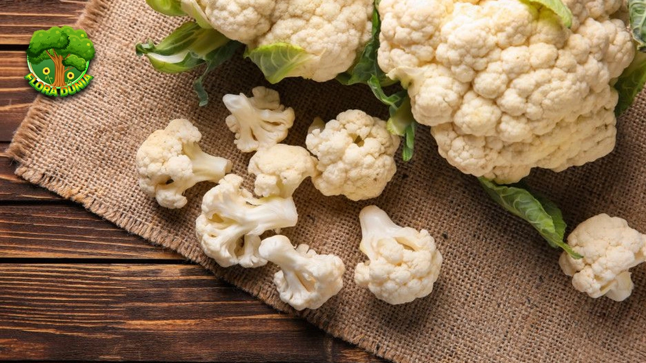 Kembang Kol 2 Pahlawan Super di Piring Anda