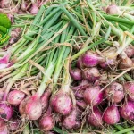 Bawang Merah Punya Baru Magic Buat 1 Tubuh