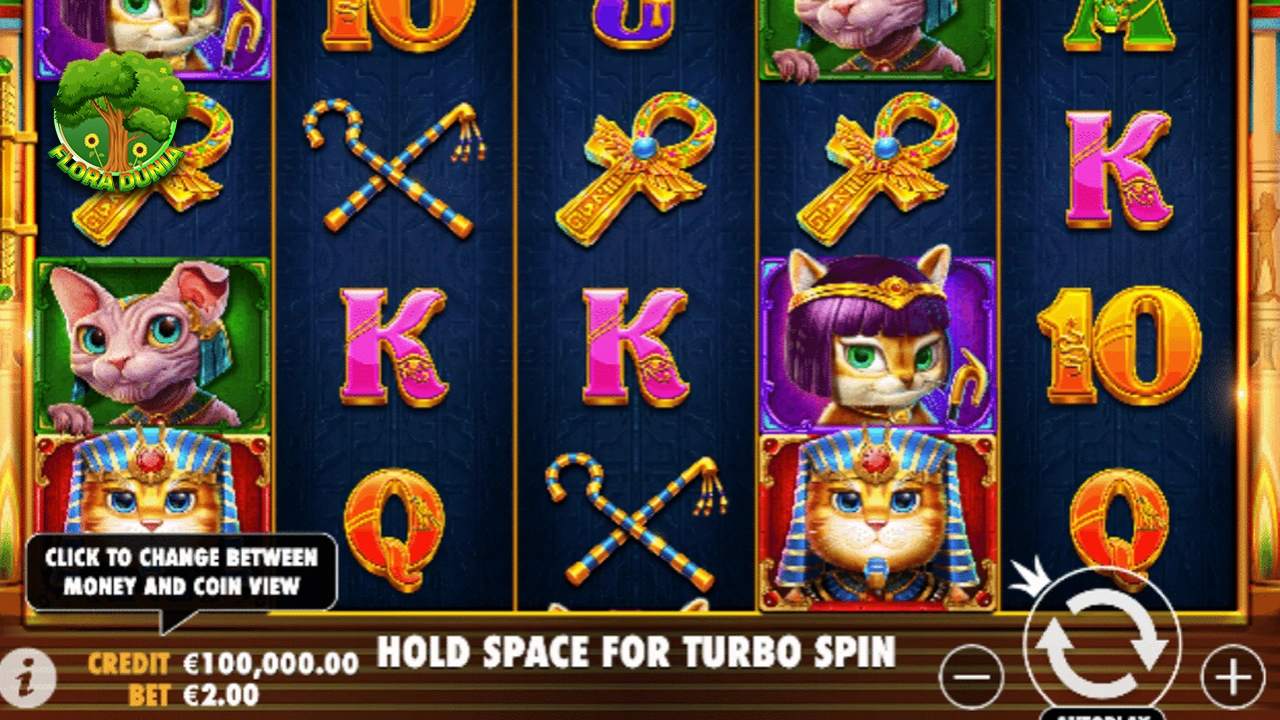 Cleocatra Tapi Hadiahnya Ringan 2026 2 Cleocatra Tapi Hadiahnya Ringan 2026