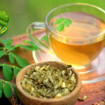 Manfaat Rebusan Daun Kelor Cegah Berbagai Penyakit