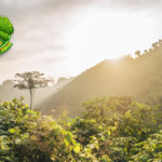 Krisis Iklim Ancam Habitat Tanaman Dunia pada 2100