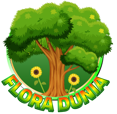 Flora Dunia News